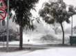Photo Number 13