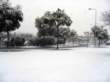 Photo Number 14