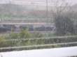 Photo Number 6