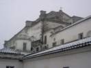 Photo Number 4