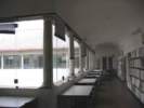 Photo Number 6