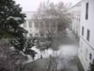Photo Number 8