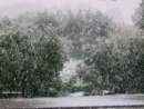 Photo Number 5