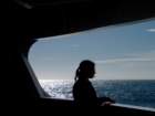 Photo Number 15