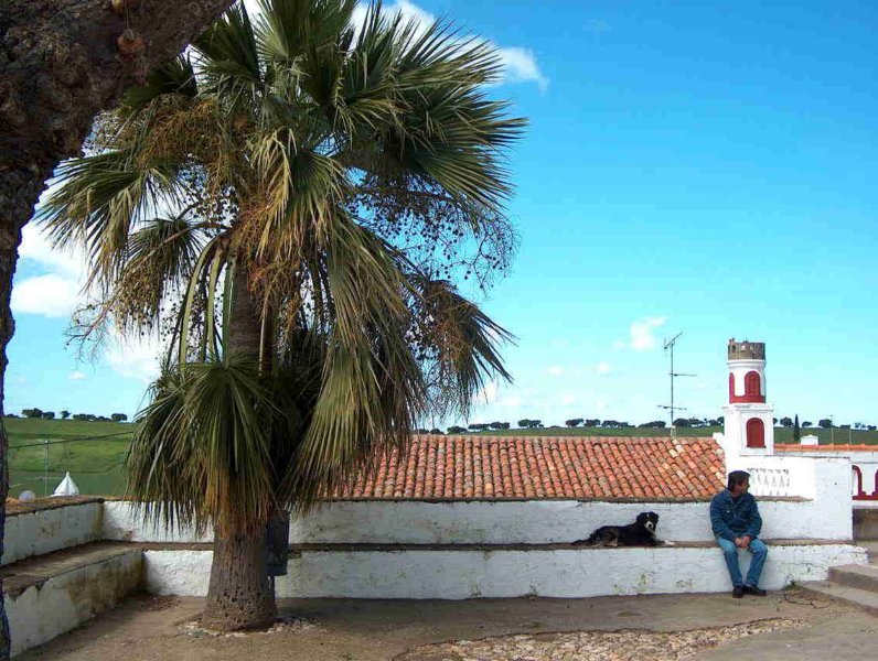 Photograph