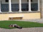 Photo Number 10