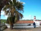 Photo Number 13